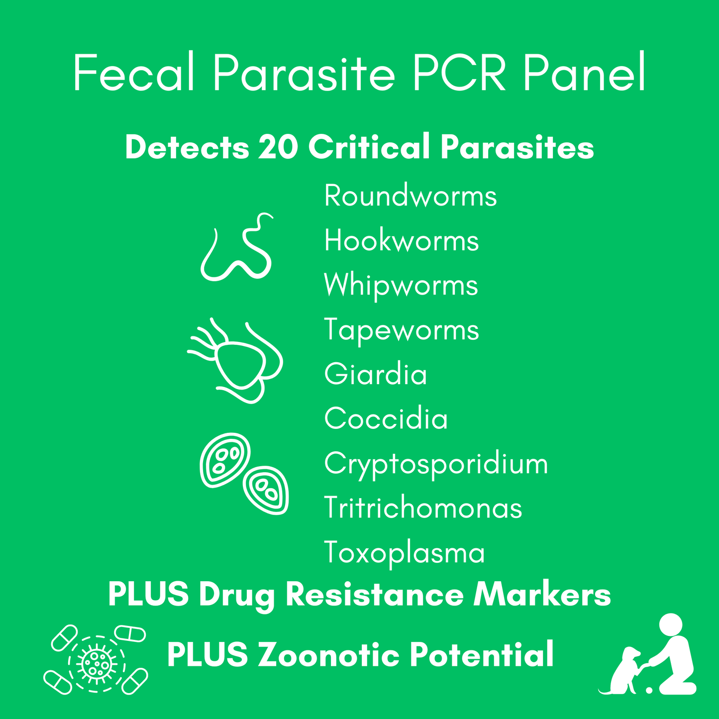 Kedi Labs at-home pet parasite test detects 20 critical parasites including roundworms and giardia