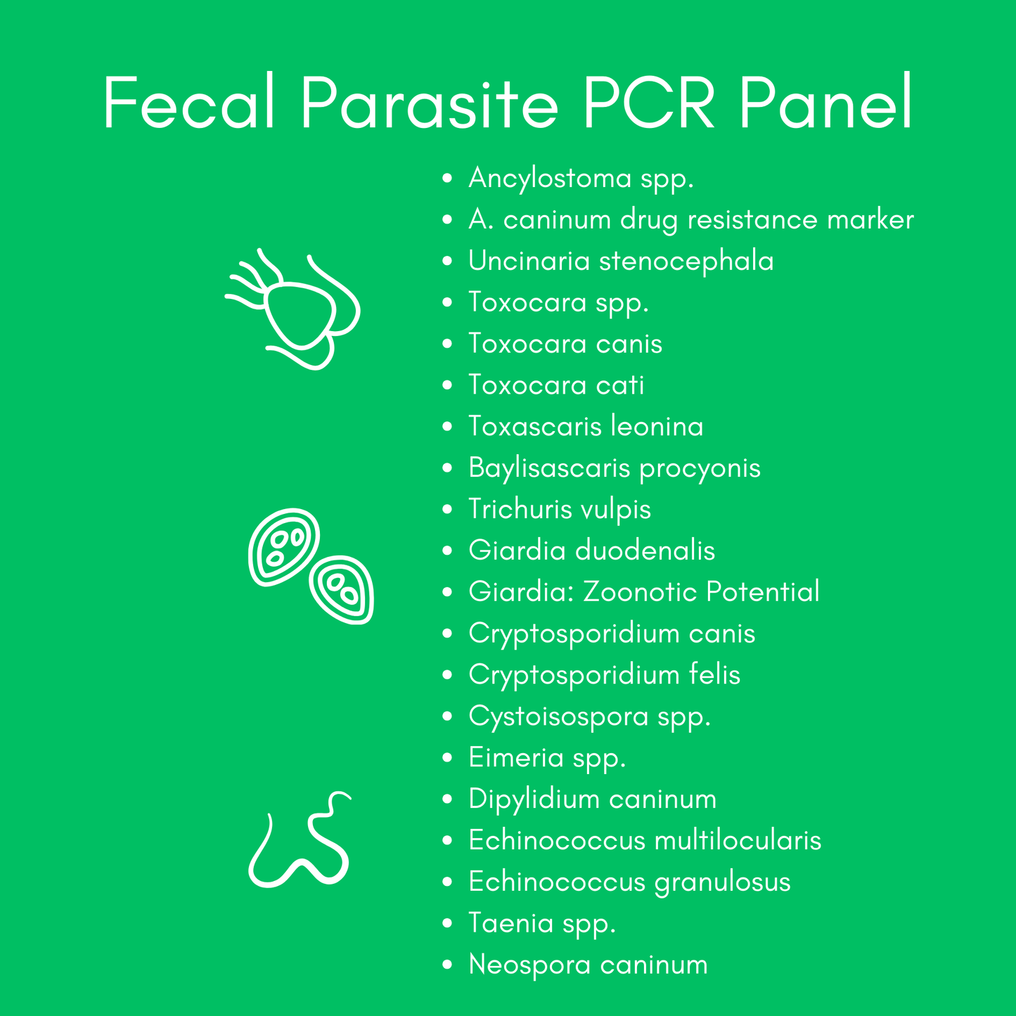 Kedi Labs Fecal Parasite PCR Panel components for at-home pet parasite test