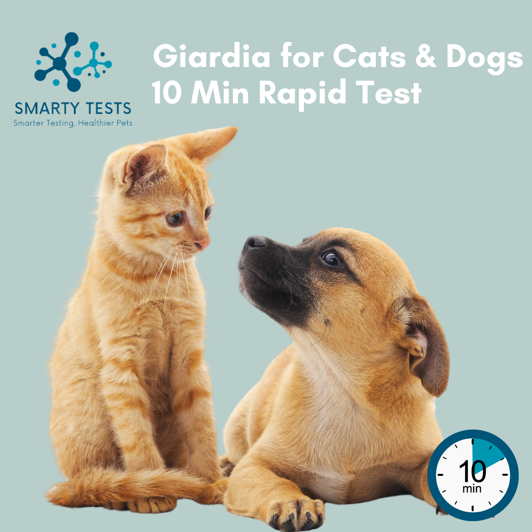At-home Giardia fecal test for cats and dogs with results in 10 minutes