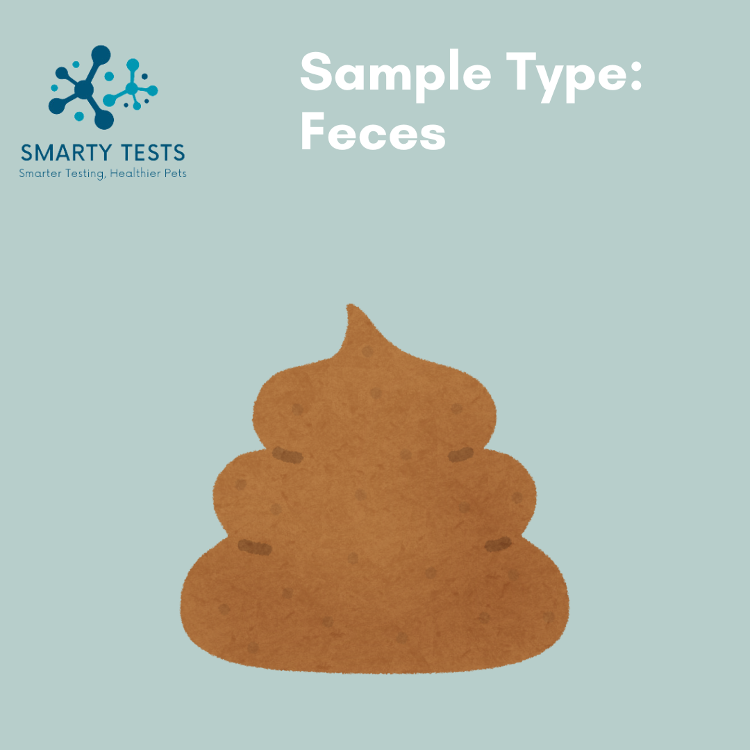 Smarty Tests 10 Minute Rapid Test for canine parvovirus rapid test using feces sample