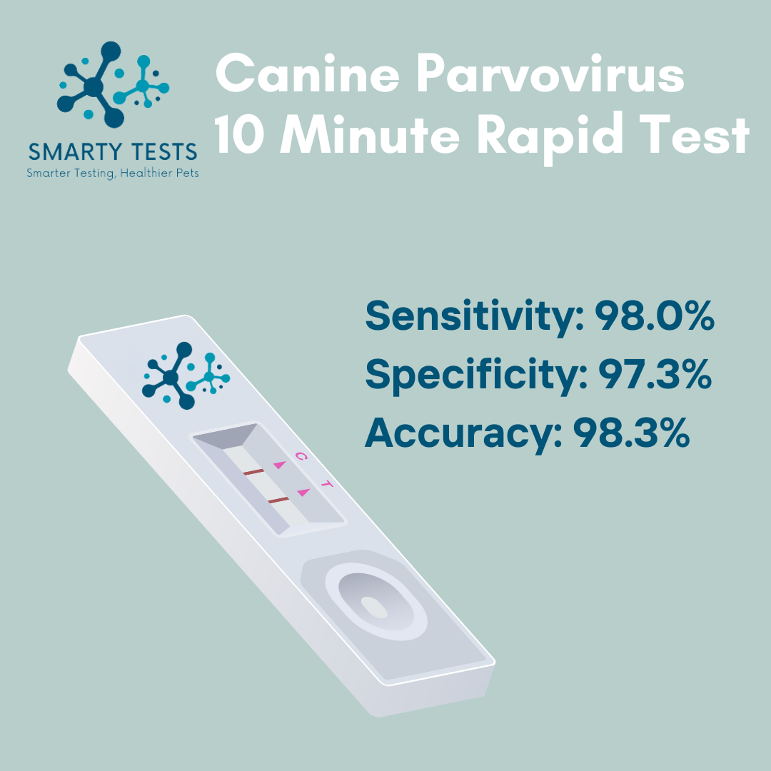 Canine parvovirus rapid test device from Smarty Tests with high sensitivity and accuracy