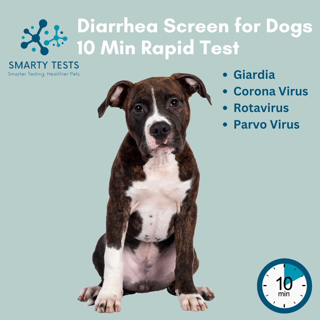Smarty Tests 10 Minute Rapid Test for dog diarrhea rapid test detecting Giardia and viruses