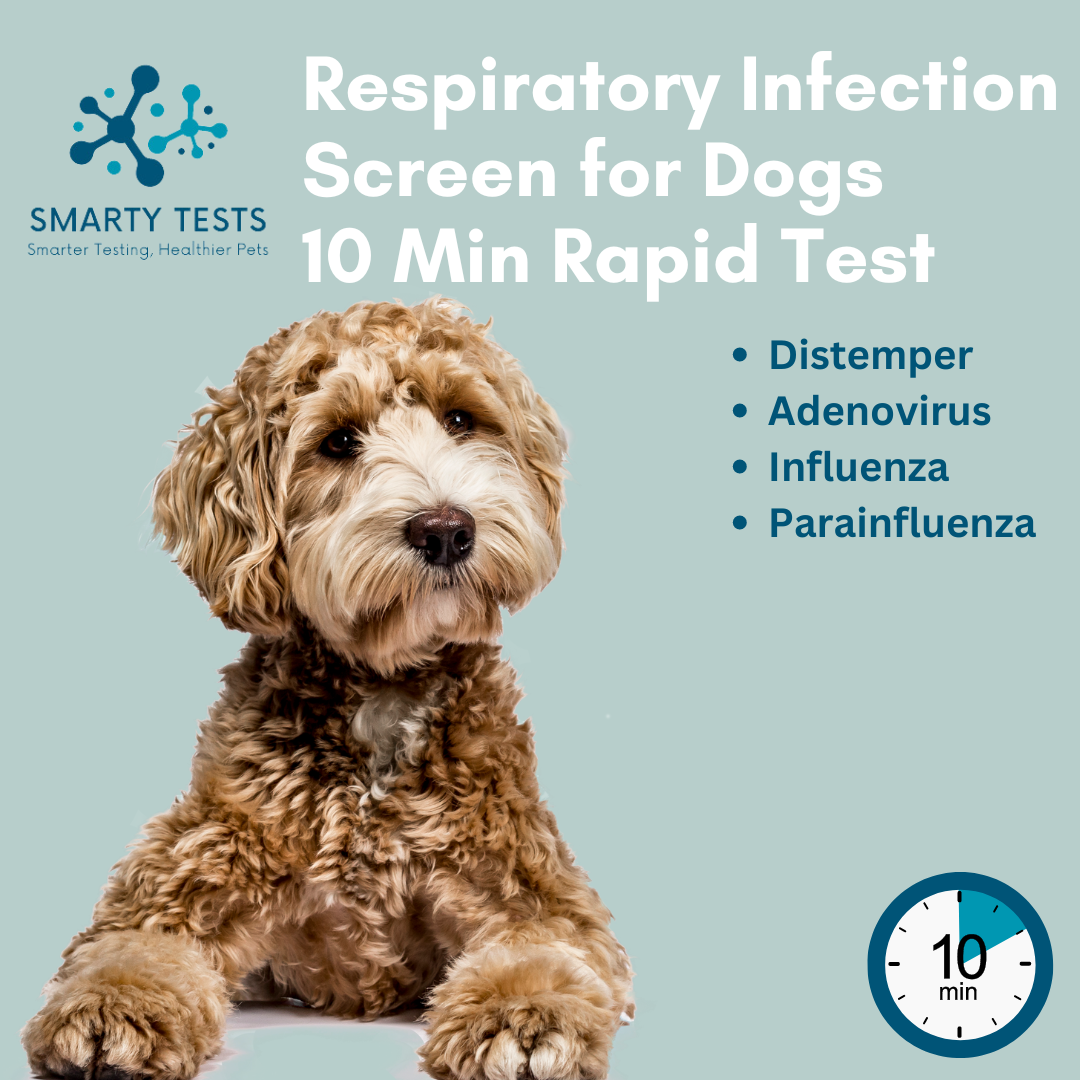 Smarty Tests 10 Minute Rapid Test for dog respiratory infection test with multiple canine illness screenings