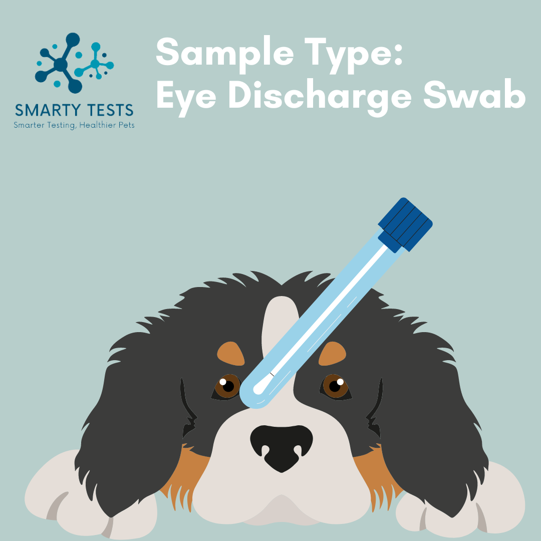 Smarty Tests 10 Minute Rapid Test for dog respiratory infection test with eye discharge swab sample type