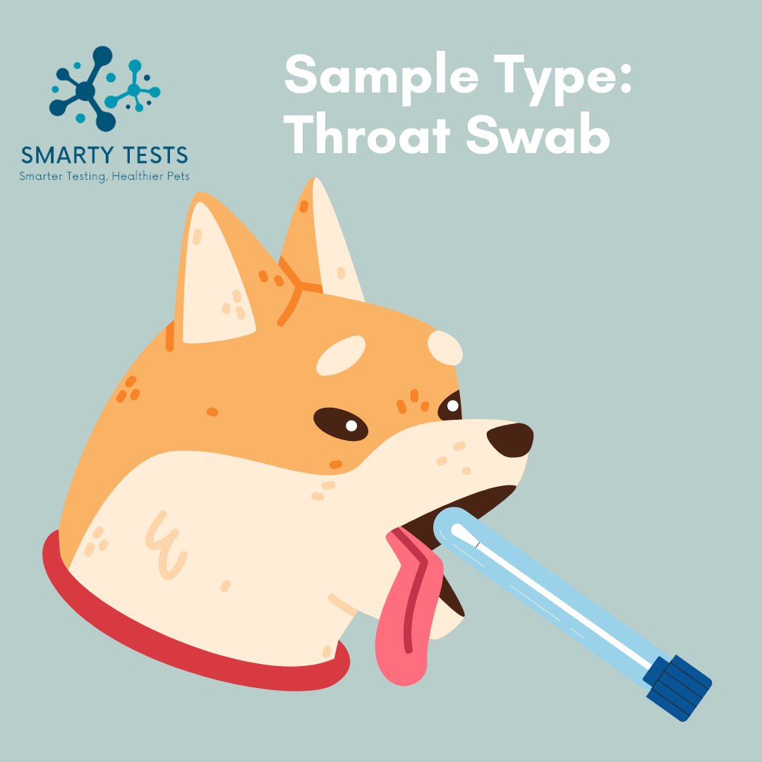 Smarty Tests 10 Minute Rapid Test for dog respiratory infection test with throat swab sample type