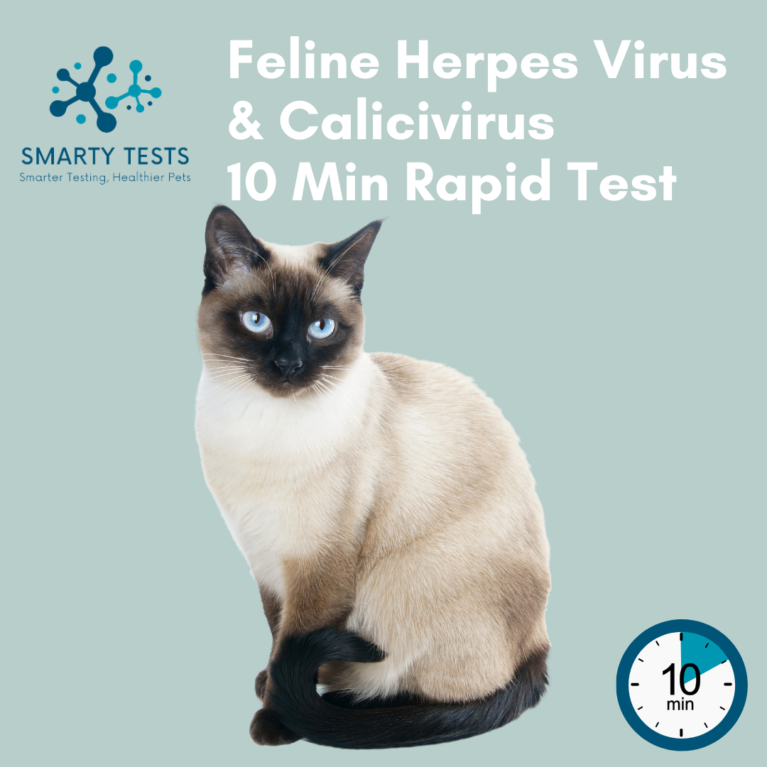Smarty Tests Feline Herpes Test Kit for quick results in 10 minutes, ideal for pet health monitoring