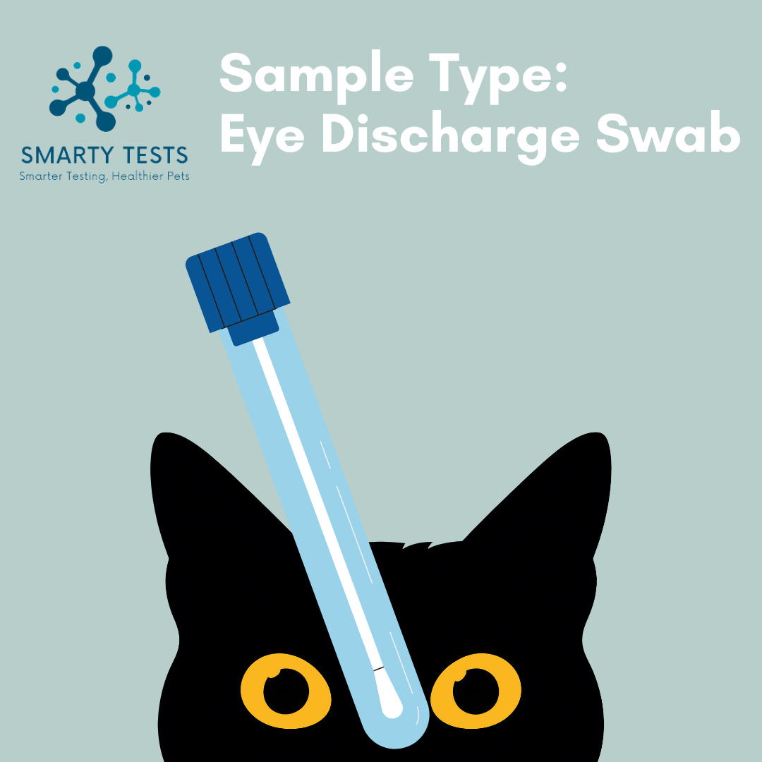 Smarty Tests 10 Minute Rapid Test Eye Discharge Swab for feline herpes test kit
