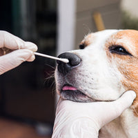 Respiratory Tests