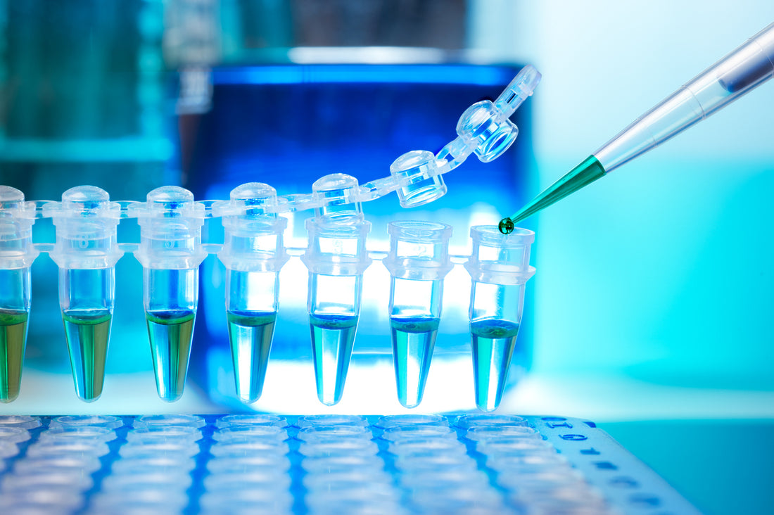 Real-time PCR instrument at Kedi Labs