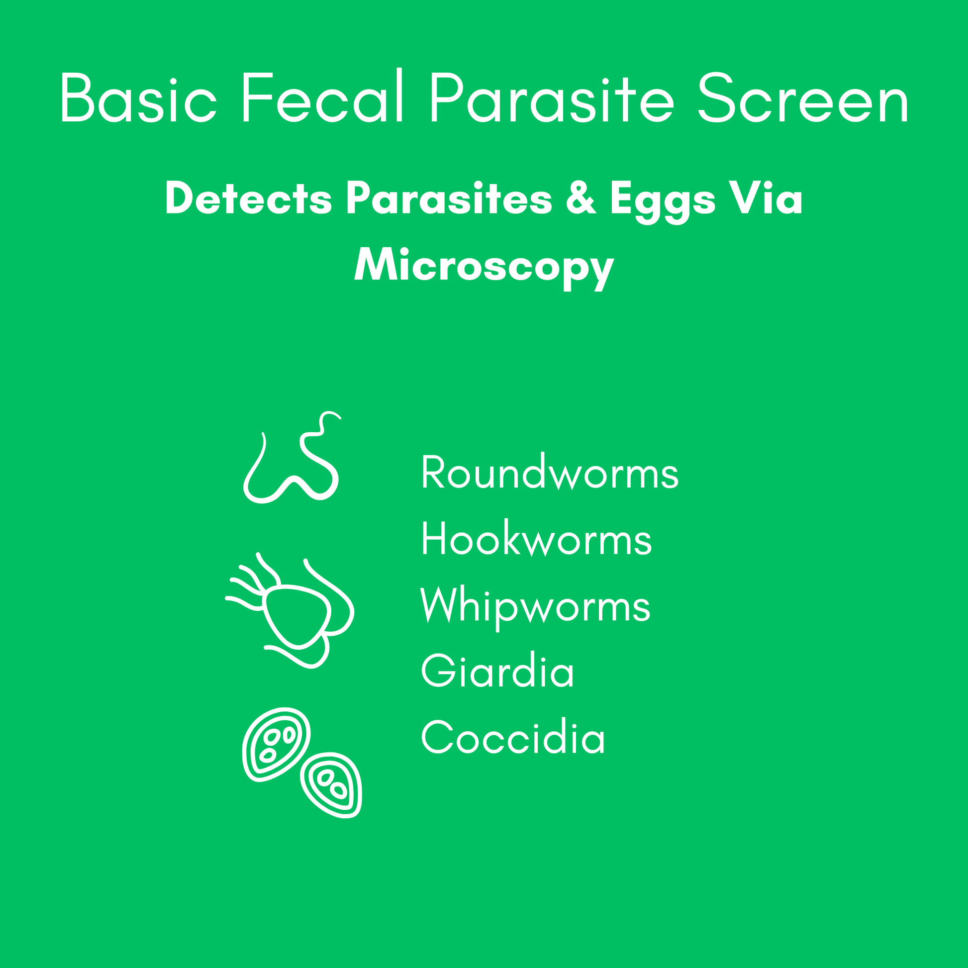 Kedi Labs Basic Fecal Parasite Screen for at-home fecal parasite test for pets detecting common worms and Giardia