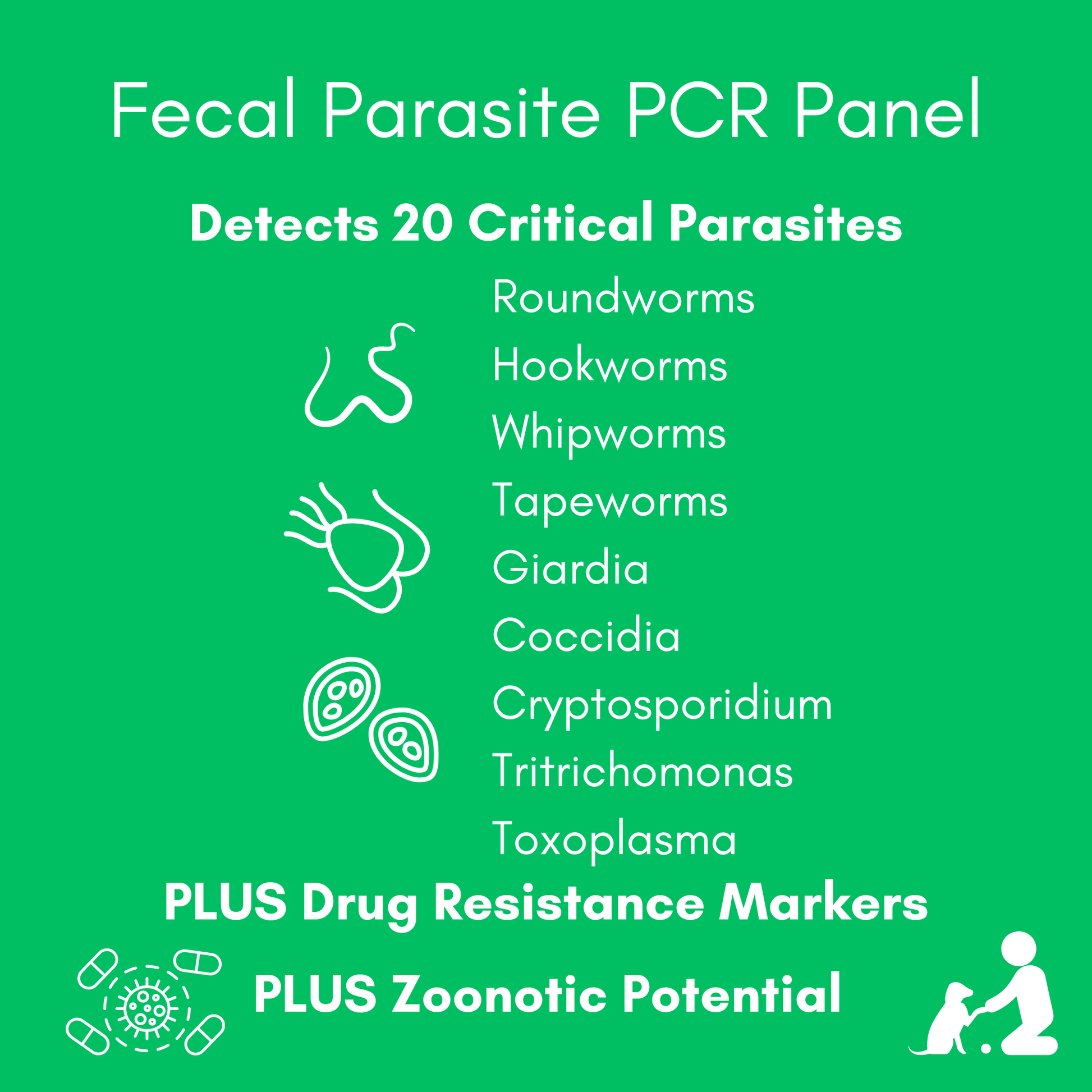 Kedi Labs at-home pet parasite test detects 20 critical parasites including roundworms and giardia