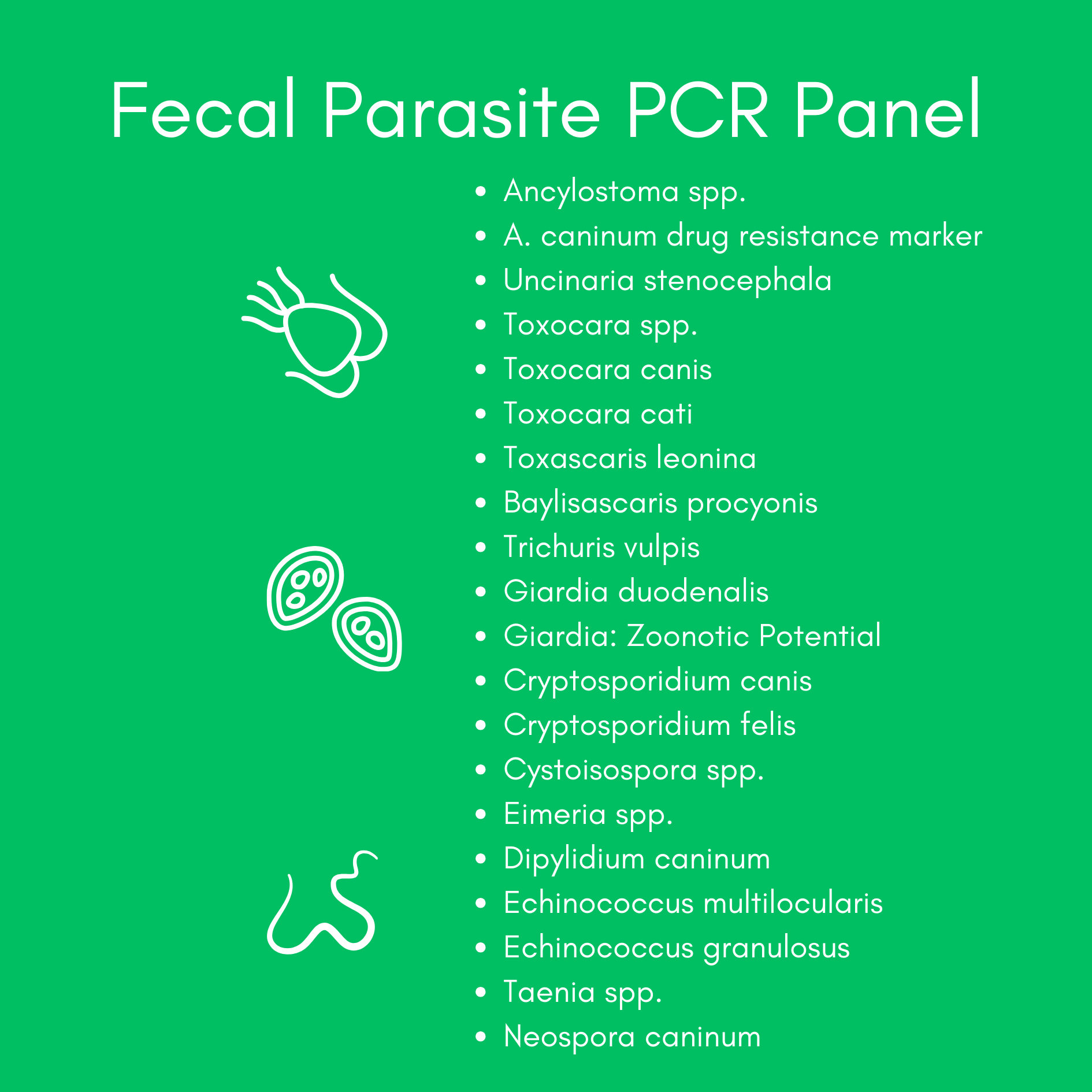 Kedi Labs Fecal Parasite PCR Panel components for at-home pet parasite test