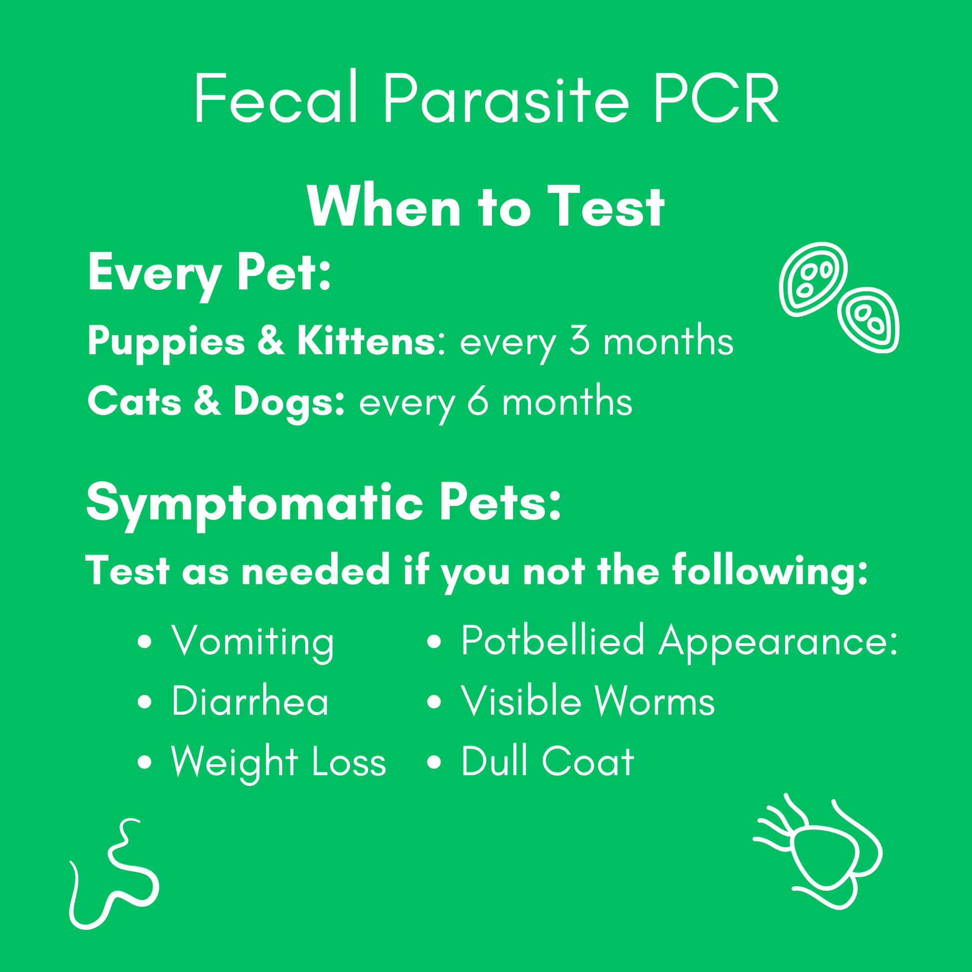 Kedi Labs At-Home Pet Parasite Test Instructions for Fecal Testing Every Few Months