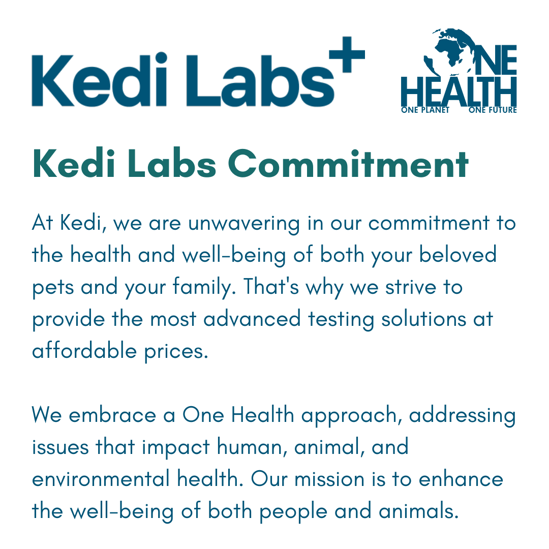 Kedi Labs at-home pet parasite test kit designed for accurate and convenient pet health monitoring
