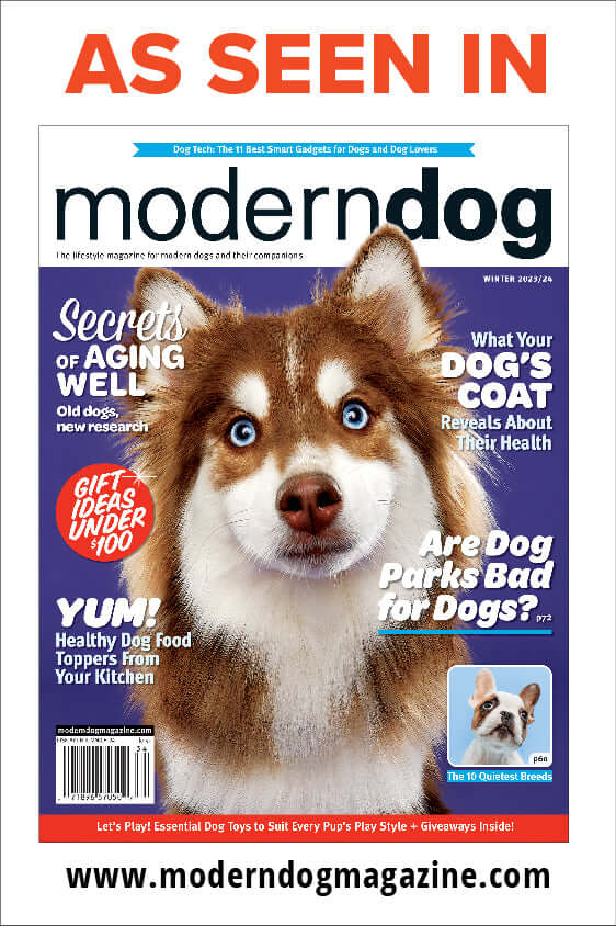Modern Dog magazine featuring articles on pet care with a focus on at-home pet parasite test