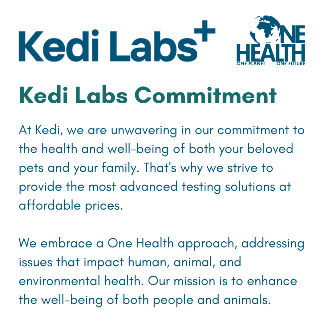 Kedi Labs fecal parasite test for pets with advanced testing solutions for animal health