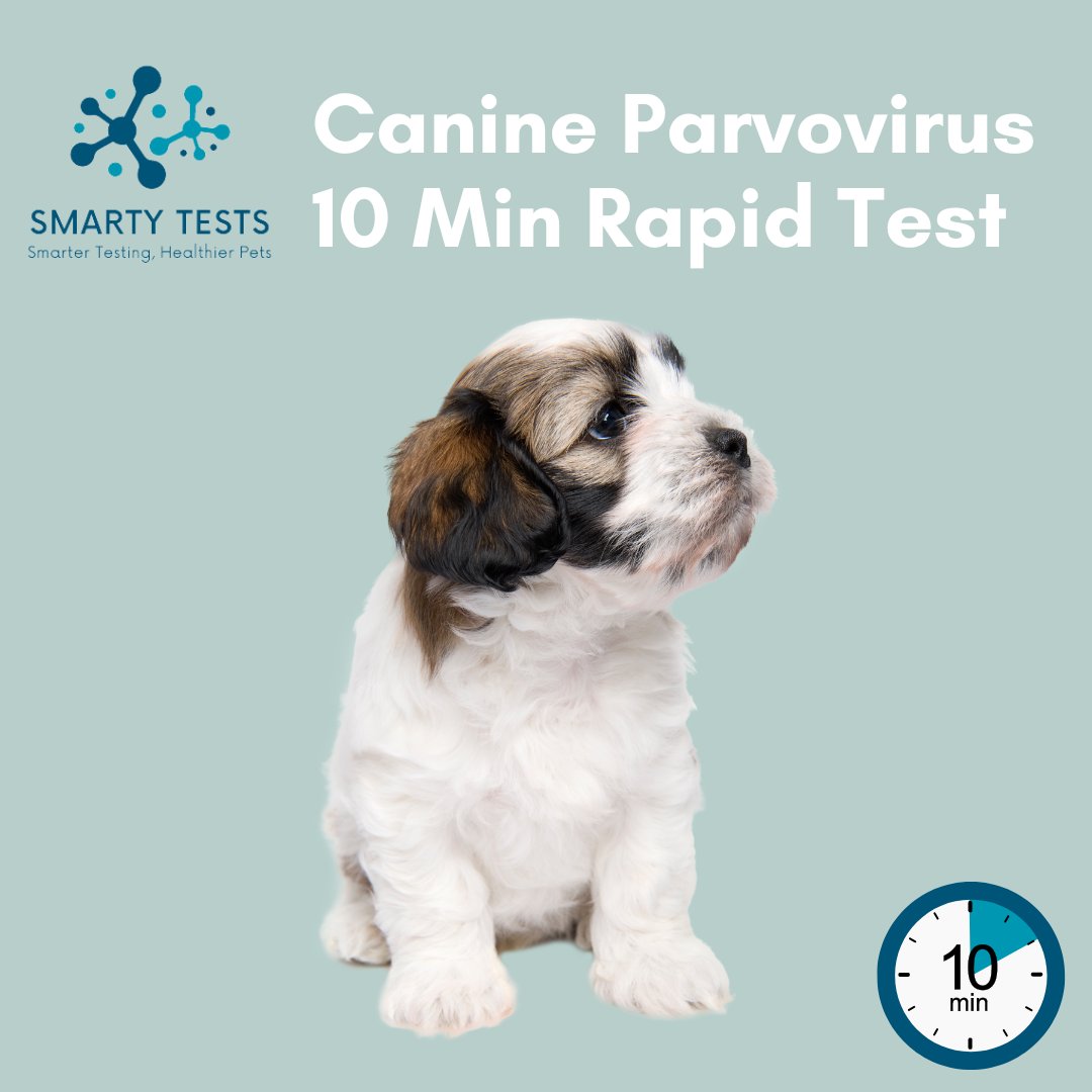 Canine Parvovirus Rapid Test by Smarty Tests with results in just 10 minutes