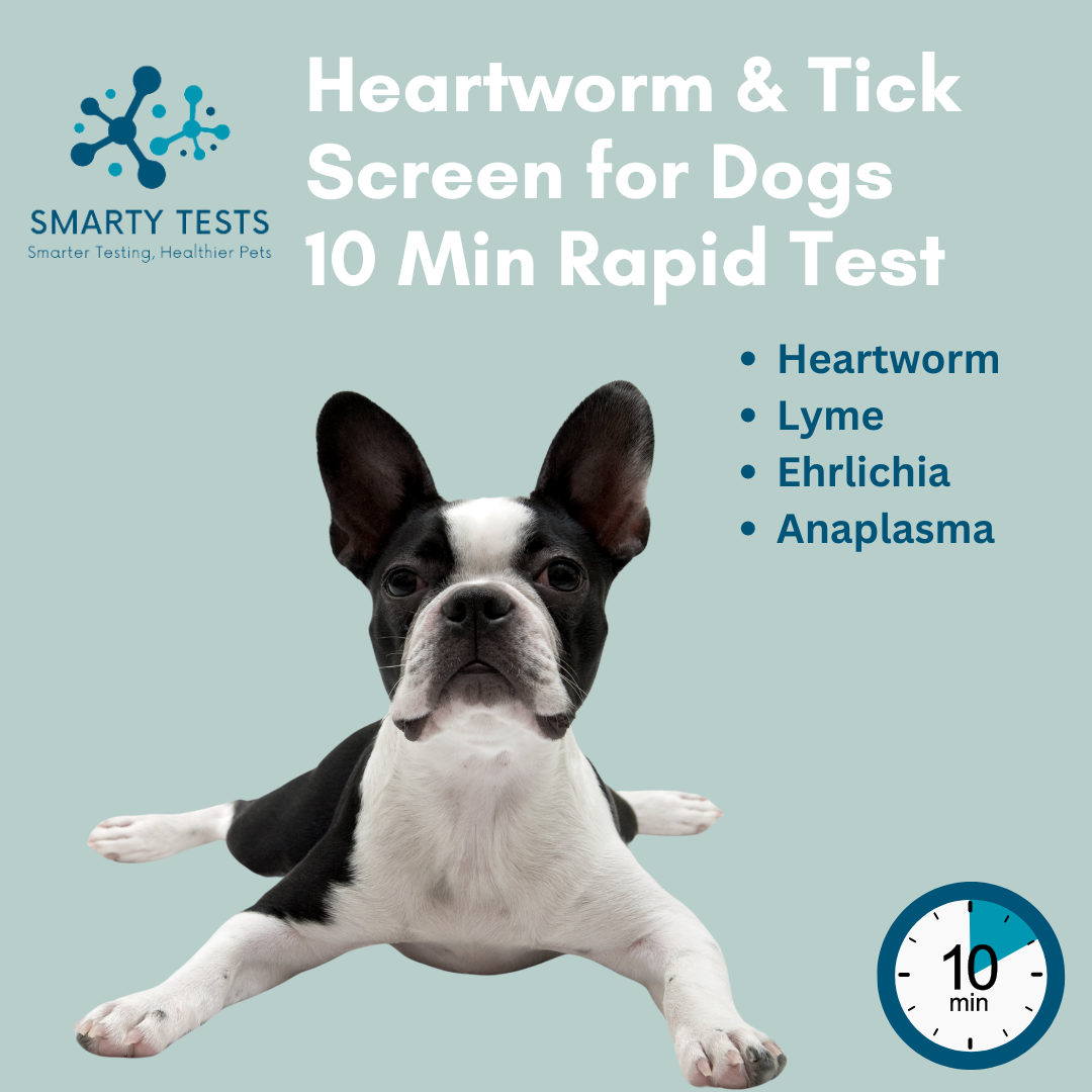 Smarty Tests Heartworm and Tick Test for Dogs 10 Minute Rapid Test for quick results