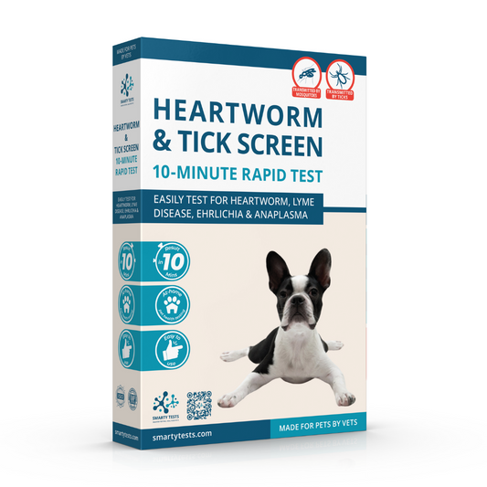 Smarty Tests Heartworm and Tick Test for Dogs in a box designed for quick and easy pet screening