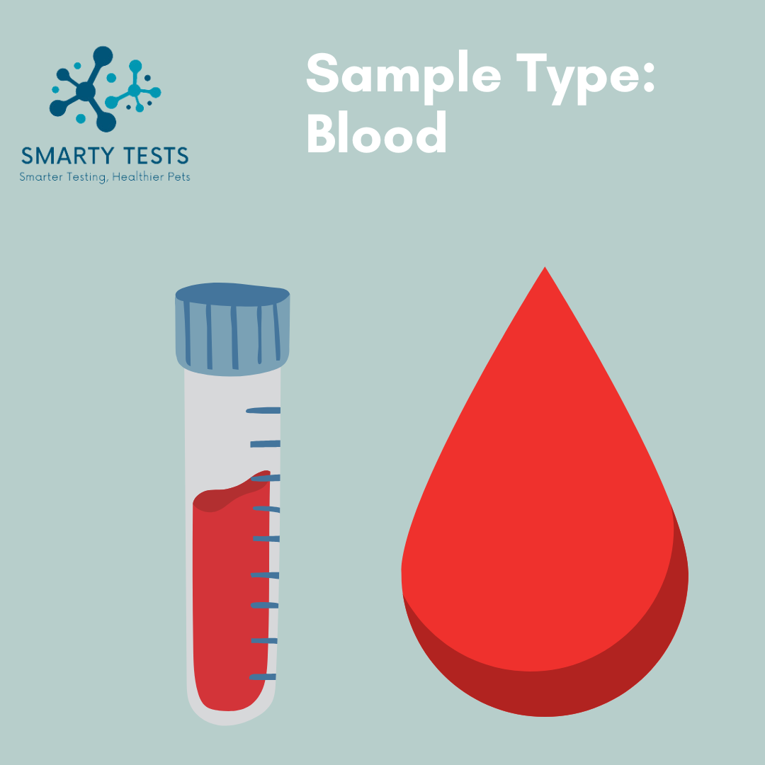 Smarty Tests 10 Minute Rapid Test with blood sample vial and drop, for heartworm and tick test for dogs